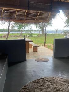 Foresta Yala