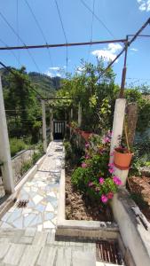 Lilis House