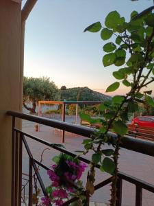La Casa D Irene