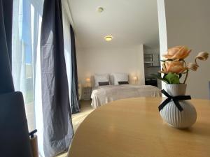 Terrasse Double Studio Apartments