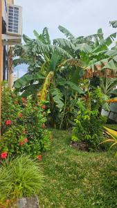 Matemwe Bluu Villa