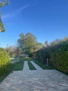 Gladgîte