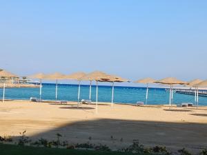 Excellent Apt 5 minutes from downtown, Beach Front Free WIFI