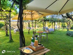 Badia Giulia Prestigious Historical B&B, Camaiore - Adults Only - No Pets
