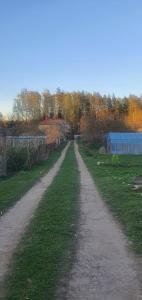 Village in Forest Camper Parking Space
