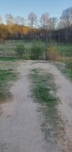 Village in Forest Camper Parking Space