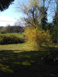 Maison campagne