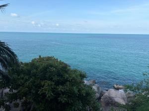 Noahs Ark Beach