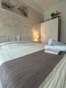 Central City Apartment of Asti
