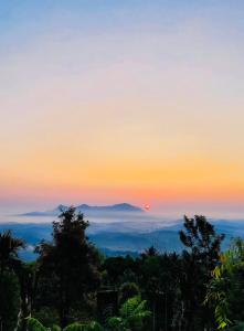 Hill wood nature touch resort