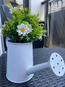 Apartman Lavina Divčibare