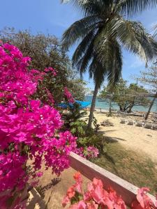 El cielo hotel isla fuerte