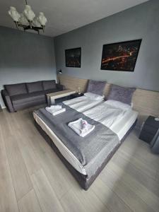 Apartment Mladost 1