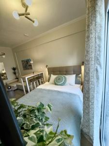 Serenity Studio SKG Newly Renovated