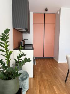 Fox17 Modern Stay