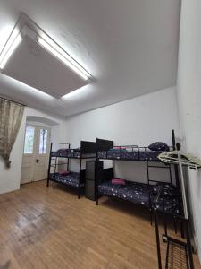 Dingo Hostel Tbilisi