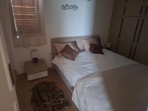 Apartment Nika