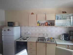Apartment Nika