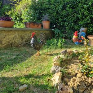Villa Dina in Gambassi Terme along the Via Francigena
