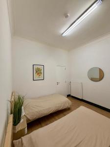 Bright and spacious apartment in the heart of Antwerp
