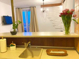 Apartamenty przy Starówce