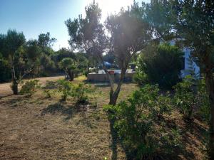 Il Lentisco beach house img5