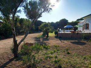 Il Lentisco beach house img9