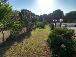 Il Lentisco beach house img11