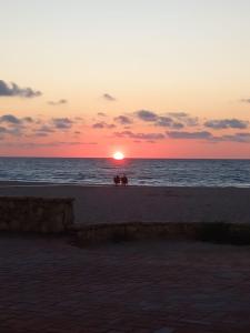 Il Lentisco beach house img16