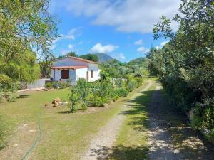 Il Lentisco beach house img23