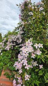 Manus, Fachwerk-Idylle & High-End Outdoor-Luxus