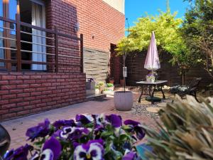 Apartament Pod Orzechem