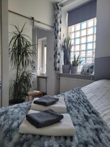 Apartament Pod Orzechem