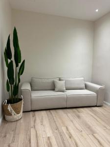 Cloud9 Apartments Bllok Area