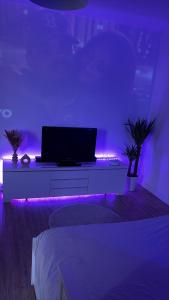 Large Studio Near Train station and Disney