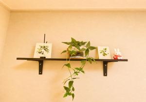 Nature Stay Seoul St
