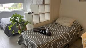 Moderno Mono ambiente