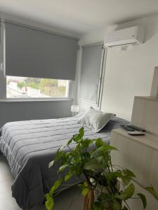 Moderno Mono ambiente