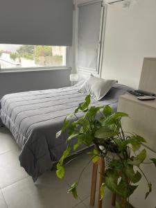Moderno Mono ambiente