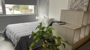 Moderno Mono ambiente