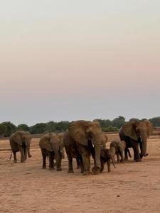 Gateway to the Lower Zambezi - Chirundu