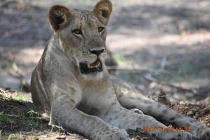 Gateway to the Lower Zambezi - Chirundu