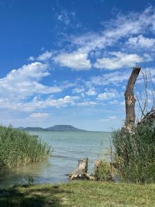 Tópart Vendégház Balatongyörök, Lakeside House