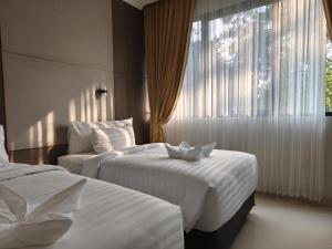 BBIB Suites