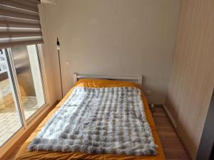 Appartement rénové avec grand balcon - FR-1-673-20