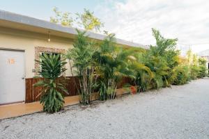 Casa Shalom Green
