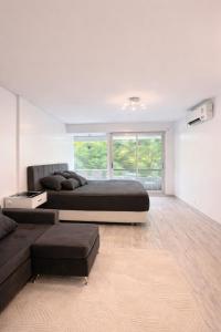 Premium studio Bernardo Irigoyen