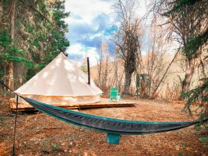 Willow Riverfront Bell Tent