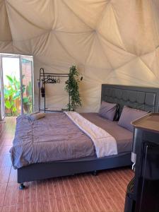 Dome Gloria