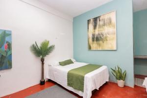 Casa Shalom Green